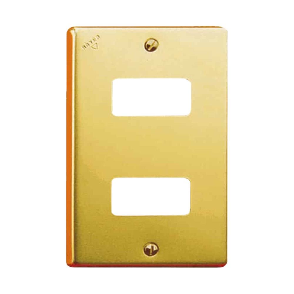 Placa de 2 Módulos Aluminio Dorado con Tornillos y Chasis Royer