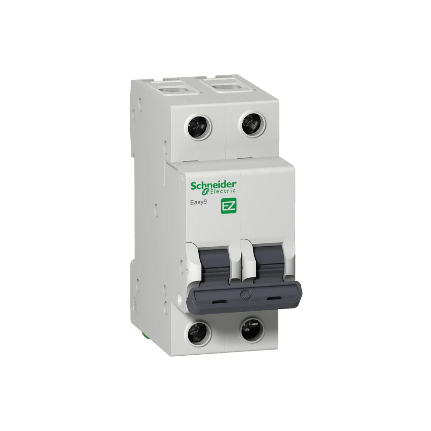 Interruptor Termomagnético Easy9 2 Polos 25 A Curva C Riel Din Schneider Electric EZ9F56225