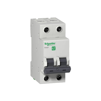 Interruptor Termomagnético Easy9 2 Polos 40 A Curva C Riel Din Schneider Electric EZ9F56240