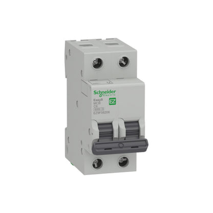 Interruptor Termomagnético Easy9 2 Polos 6 A Curva C Riel Din Schneider Electric EZ9F56206
