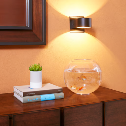 Lámpara de Pared Arbotante LED 5.5W Luz Cálida Negro Tecnolite