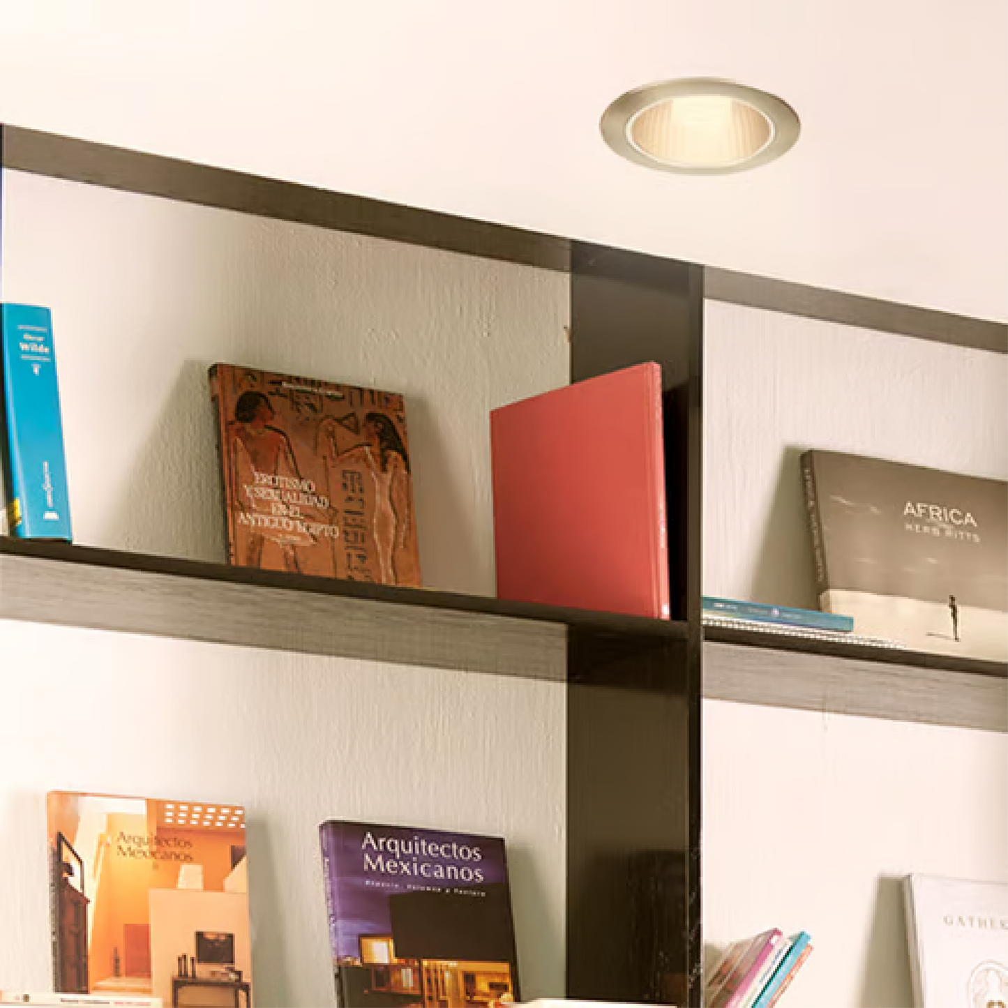Lámpara de Techo Downlight Empotrable Base E27 60W Satinado Tecnolite