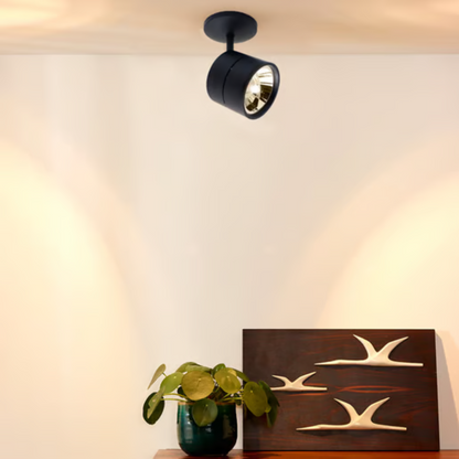 Lámpara de techo dirigible AR111 Luz Cálida 60W Tecnolite