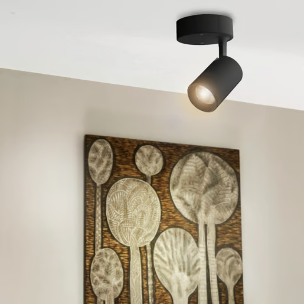 Lámpara de techo dirigible LED Luz cálida 7W Negro Tecnolite