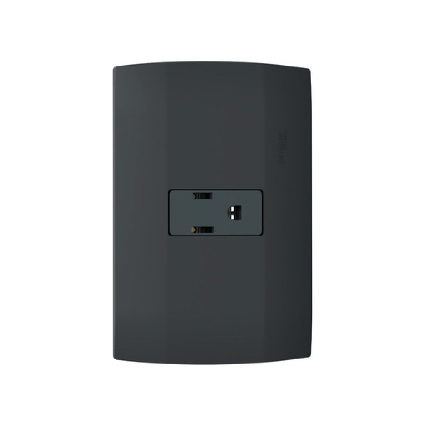 Placa Armada con Contacto 2P+T color Negro Marisio Schneider Electric MWD60277