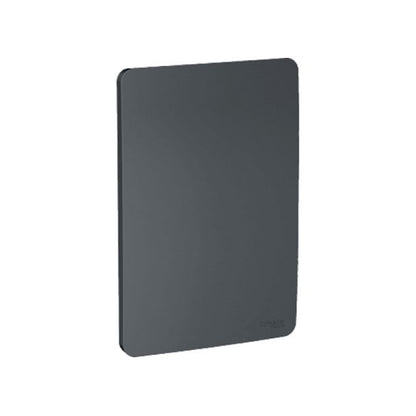 Placa Ciega color Grafito Orion Schenider Electric S735100294