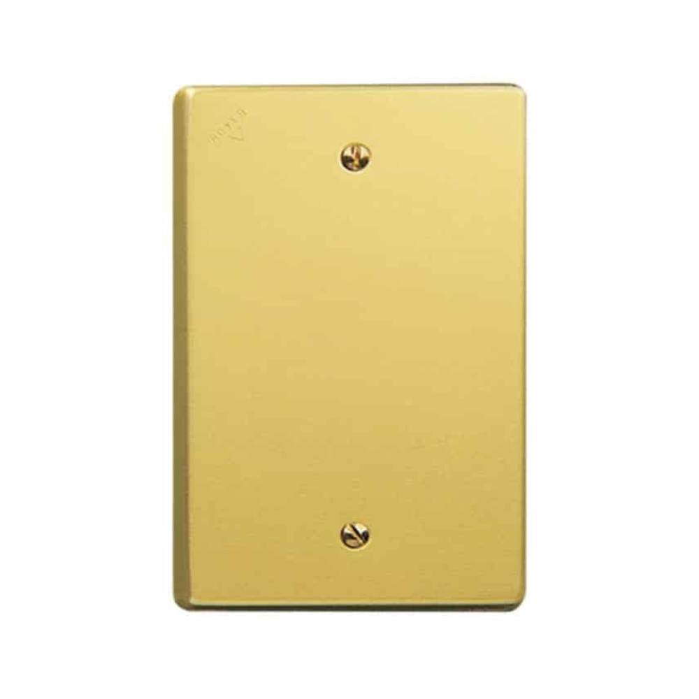 Placa ciega con tornillos Aluminio Dorado Royer
