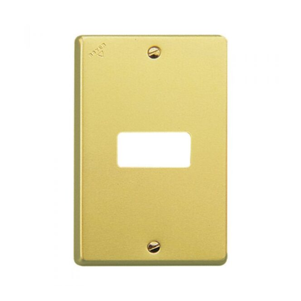Placa de 1 módulo Aluminio Dorado con tornillos y chasis Royer