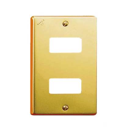 Placa de 2 módulos Aluminio Dorado c/tornillos y chasis Royer