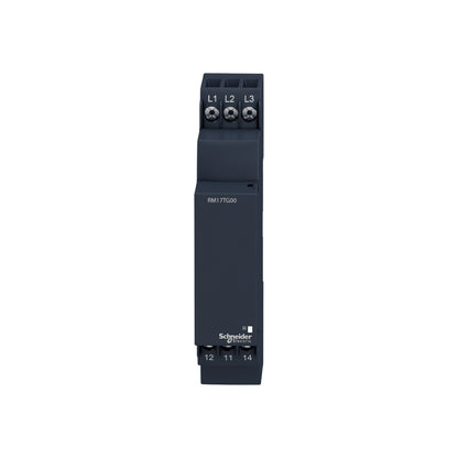 Relevador de Control de Fases RM17-T-183..528 V AC Schneider Electric RM17TG00