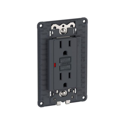Chasis Armado con Contacto Dúplex GFCI 2P+T 15A Schneider Electric S70327094