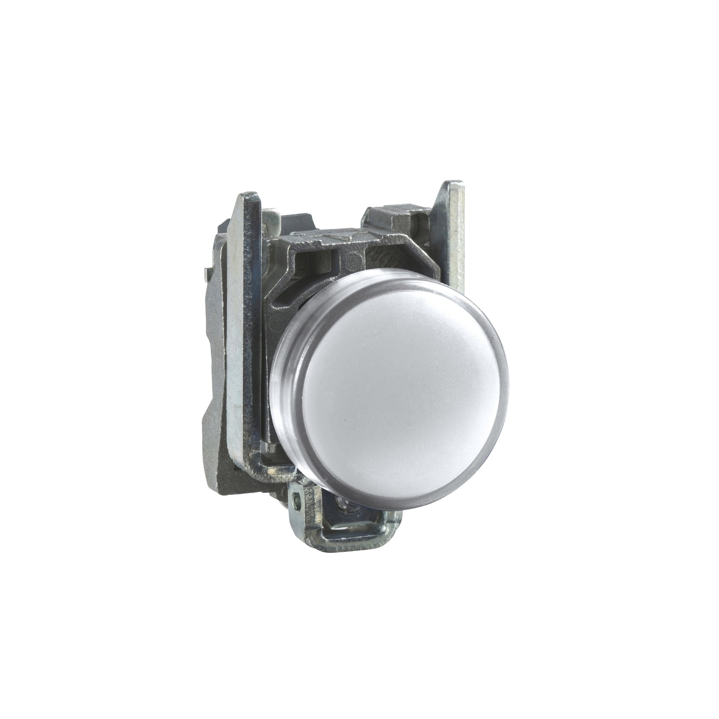 Luz Piloto Redondo Ø 22- IP65-Blanco-LED Integral-120 V-Terminales Schneider Electric XB4BVG1